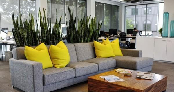 Tranh gạo trang trí phòng khách