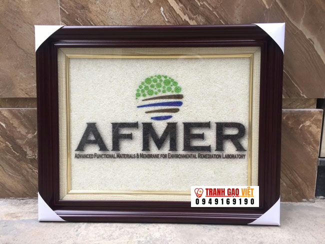 Logo AFMER