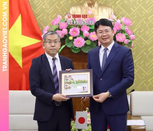 Bộ Tư Pháp Việt Nam tiếp đoàn Cơ quan Hợp tác quốc tế Nhật Bản (JICA)