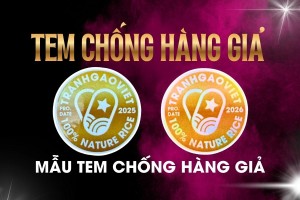 Lưu ý quan trọng khi mua phải Hàng Nhái Thương Hiệu Tranh Gạo Việt