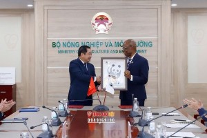 Tranh Gạo Việt trân trọng góp mặt lễ ký kết giữa Bộ Nông Nghiệp và Môi Trường cùng WWF (Tổ chức Quốc tế về Bảo tồn Thiên nhiên)