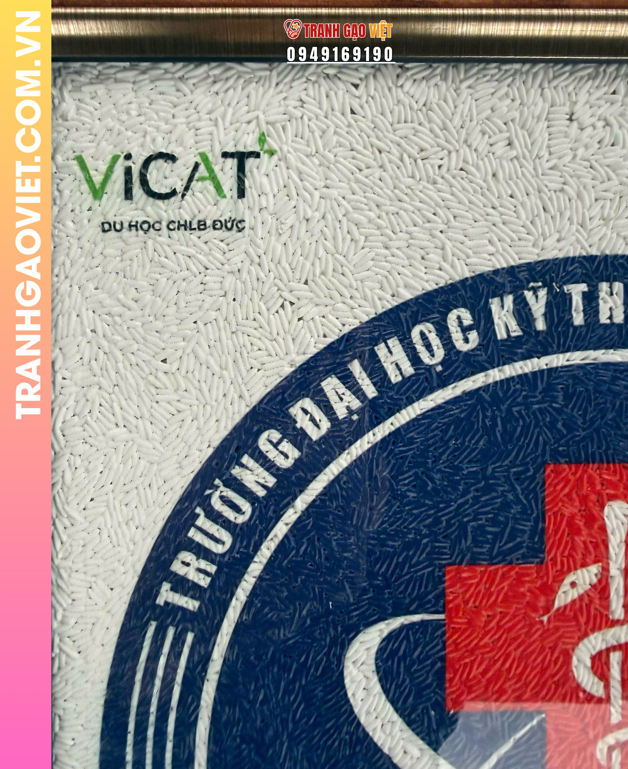 Tranh gạo logo Trường Đại Học Kỹ Thuật Y Dược Đà Nẵng - Ảnh 3