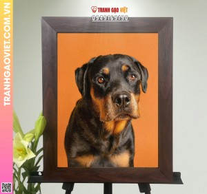 Tranh Gạo Chân Dung Chú Chó