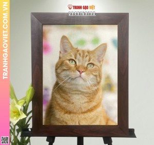 Tranh Gạo Chân Dung Mèo Vàng