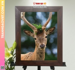 Tranh Gạo Tuần Lộc