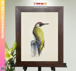 Tranh Gạo Vẻ Đẹp Của Chim