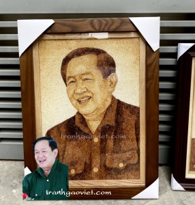 Chân dung Thượng Tướng Võ Minh Lương