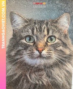 Tranh Gạo chân dung Mèo theo yêu cầu