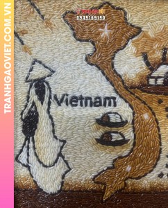 Tranh gạo cô gái áo dài và bản đồ Việt Nam đóng khung vàng