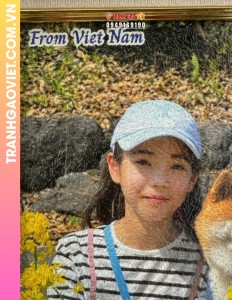 Tranh gạo gia đình và chú cún Shiba Inu