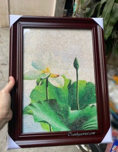 Tranh gạo màu Hoa sen trắng