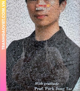 Tranh gạo màu Tặng chàng trai người Hàn Quốc