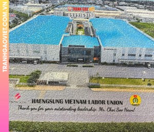 Tranh gạo Nhà máy HAENGSUNG tại Việt Nam