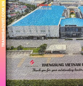 Tranh gạo Nhà máy HAENGSUNG tại Việt Nam