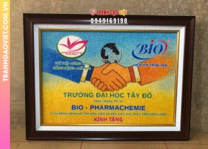 Tranh gạo trường đại học Tây Đô kính tặng công ty Bio Pharmachemie