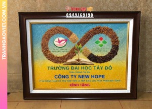 Tranh gạo trường đại học Tây Đô kính tặng công ty New Hope