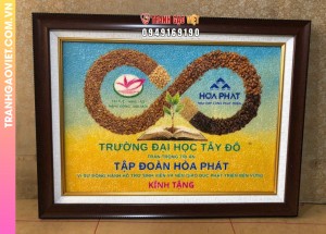 Tranh gạo Trường Đại Học Tây Đô kính tặng tập đoàn Hoà Phát