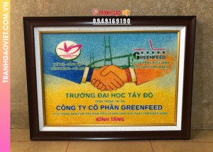 Tranh gạo Trường đại học Tây Đô tặng công ty Greenfeed